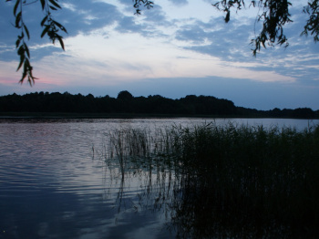 00012_Briesensee_Michael Bernhardt.jpg